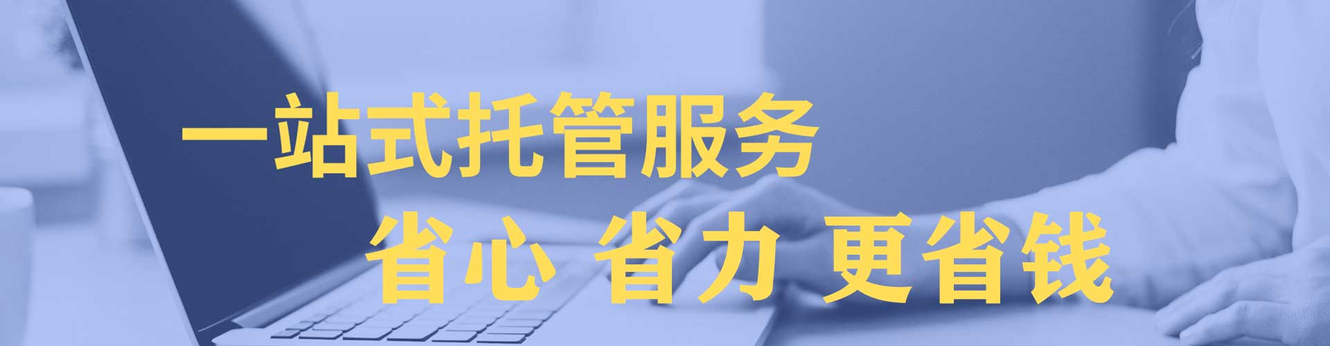 丰林百度竞价包年